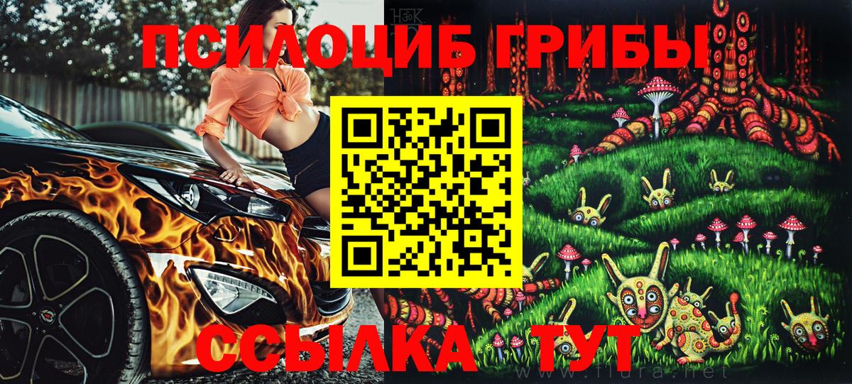 Галлюциногенные грибы Psilocybe Верхняя Салда